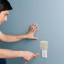 Load image into Gallery viewer, 209-16FT Family Is Like Branches Plug-In Warmer