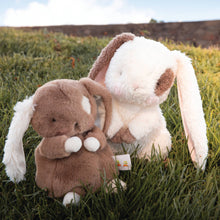 Load image into Gallery viewer, 66-580596 Herby Hare Bunny