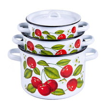 Load image into Gallery viewer, 270-3  LARGE  Cherry Berry Enamel Stockpot
