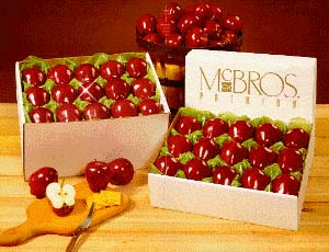 2 Layer    24 Apple Variety Gift Box       WASHINGTON-OREGON-IDAHO  999-8648-1