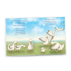 66-287   Avery Aviator Learns to Soar Story Book